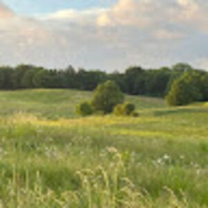 Meet your Posher, Oliver